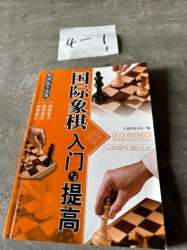 棋牌娱乐指南：国际象棋入门与提高