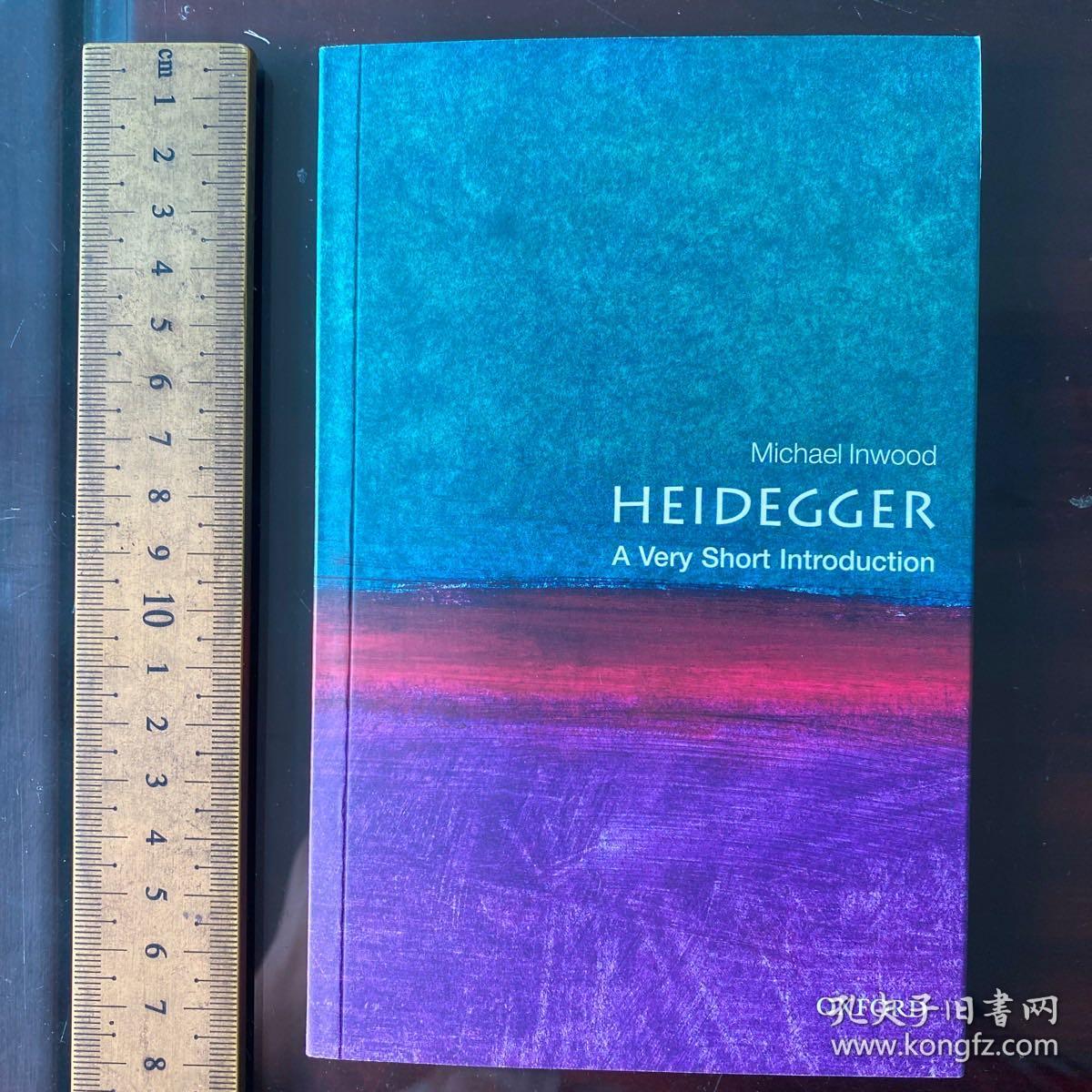 heidegger a very short introduction 英文原版