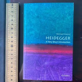 heidegger a very short introduction 英文原版