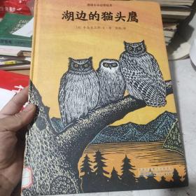 湖边的猫头鹰，包邮