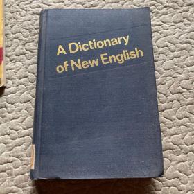 A Dictionary of new english