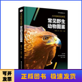 大兴安岭次生林区常见野生动物图鉴