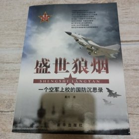 盛世狼烟：一个空军上校的国防沉思录