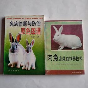 兔病诊断与防治原色图谱   肉兔高效益饲养技术两本合售
