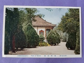 02880 济南 商埠 公园 文海堂书店发行 民国早期 老 明信片