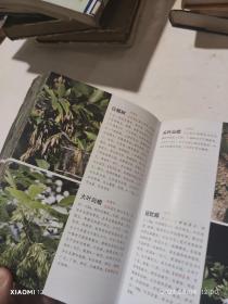 1500种中草药野外识别彩色图鉴