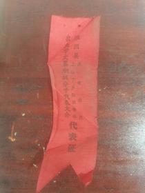 淮阴县共青团员上山下乡知识青年代表证（农业学大寨积极分子代表大会）