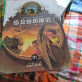 神奇树屋01(典藏版)-恐龙谷历险记，迷雾中骑士，木乃伊之迷，海盗的藏宝图共四册同售。