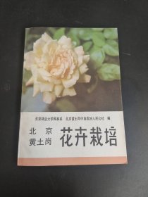 北京黄土岗花卉栽培