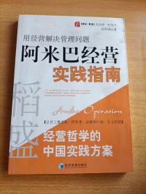 稻盛和夫经营哲学中国实践方案·用经营把管理做简单：阿米巴经营实践指南