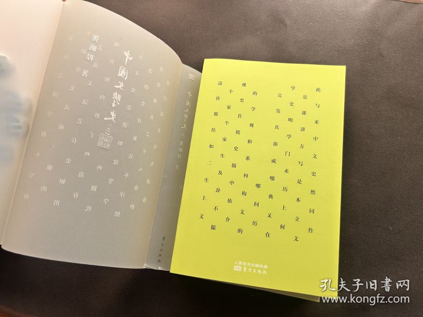 【个人收藏原封未拆正版无阅读】中国文学史