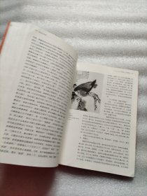 画坛点将录：评现代名家与大家