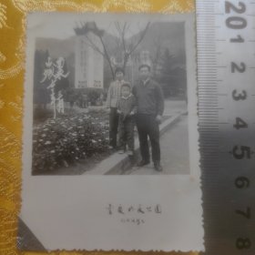老照片【夫妻和孩子合影】1973年重庆南泉公园，背景有时代特色
