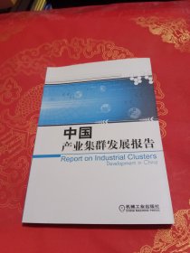 中国产业集群发展报告