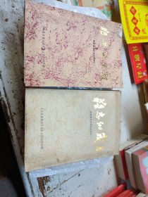 难忘的岁月（1--2册全）
