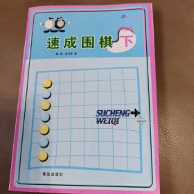 初级篇-速成围棋(下)