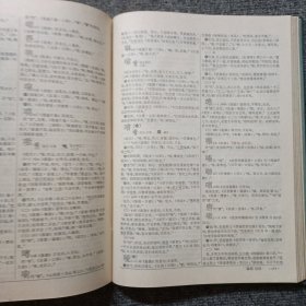 汉语大字典 （1）