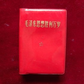 毛泽东思想胜利万岁（红塑料皮）04