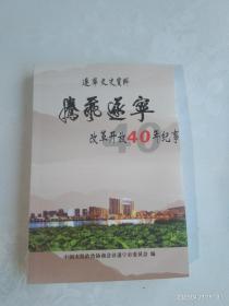 腾飞遂宁 改革开放40年纪事 遂宁文史资料 第二十九辑