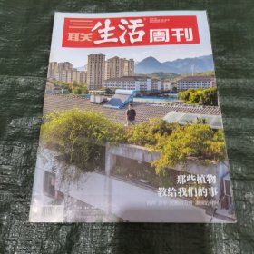 三联生活周刊2024 38 FN0631