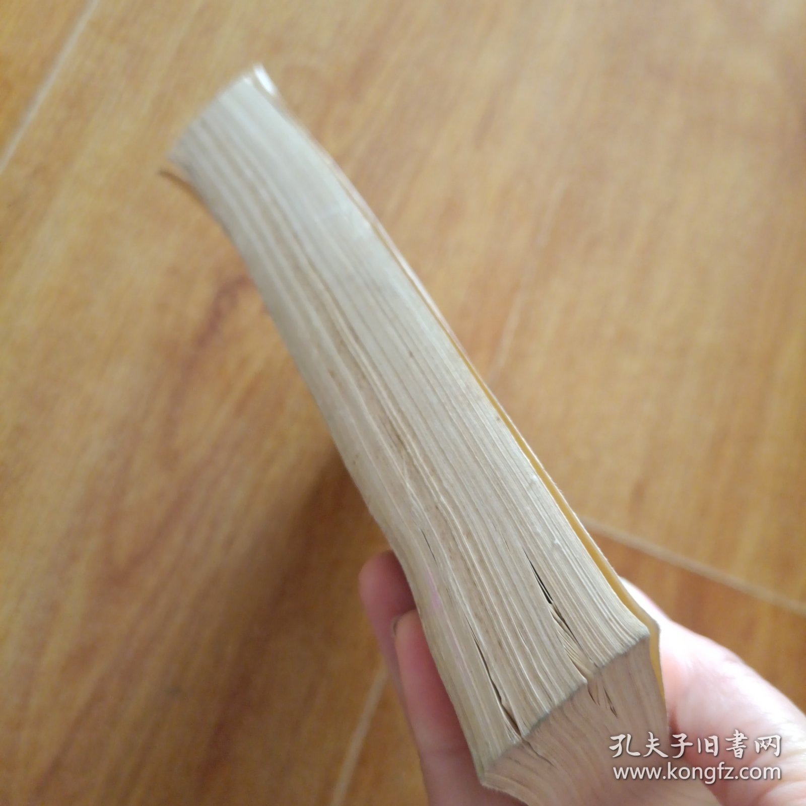 中国古典文学名著题解