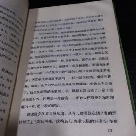 老檞树的梦/聪明人的宝石/曾祖父/母亲的故事/柳树下的梦/祖母/沙丘的故事/园丁和主人/踩着面包走的女孩/夜莺/干爸爸的画册/幸运的贝儿【12本合售 馆藏 书脊有伤 书口有黄斑 书角轻微折痕】