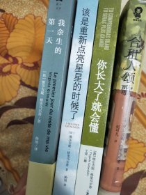 维尔吉妮·格里马尔蒂小说4种：我余生的第一天、合租人颂歌、你长大了就会懂、该是重新点亮星星的时候了