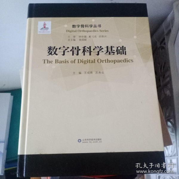 数字骨科学基础/数字骨科学丛书