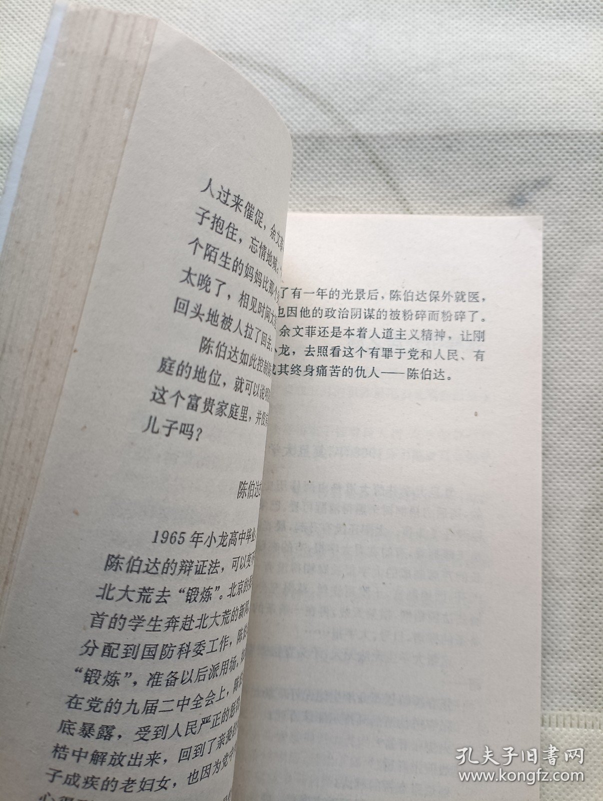 中国大悲剧的人物