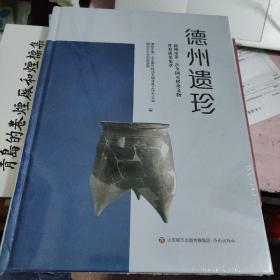 德州遗珍 德州市第一次全国可移动文物普查成果集萃 德州市第一次全国可移动文物普查工作办公室 德州市文化和旅游局 编 济南出版社 正版 实拍 现货 全新十品未开塑封