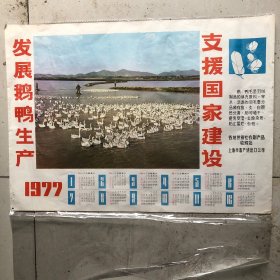 支援国家建设