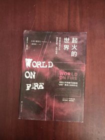 起火的世界：自由市场民主与种族仇恨、全球动荡（第二版）/雅理译丛