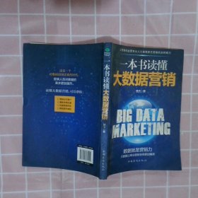 一本书读懂大数据营销
