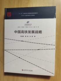 中国高铁丛书：中国高铁发展战略