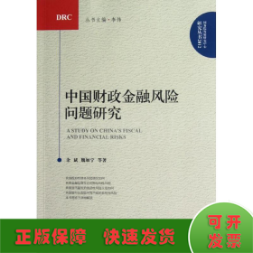 中国财政金融风险问题研究