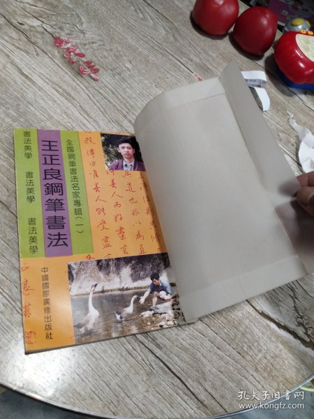 王正良钢笔书法