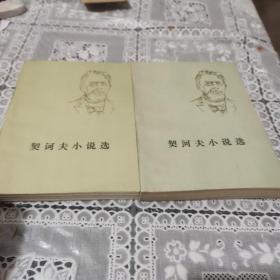 契诃夫小说选(上下)繁体