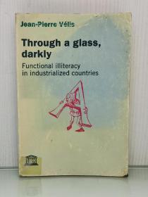《犹在镜中：工业国家的功能性文盲》  Through a Glass  Darkly : Functional Illiteracy in Industrialized Countries by Jean-Pierre Vells（社会学）英文原版书