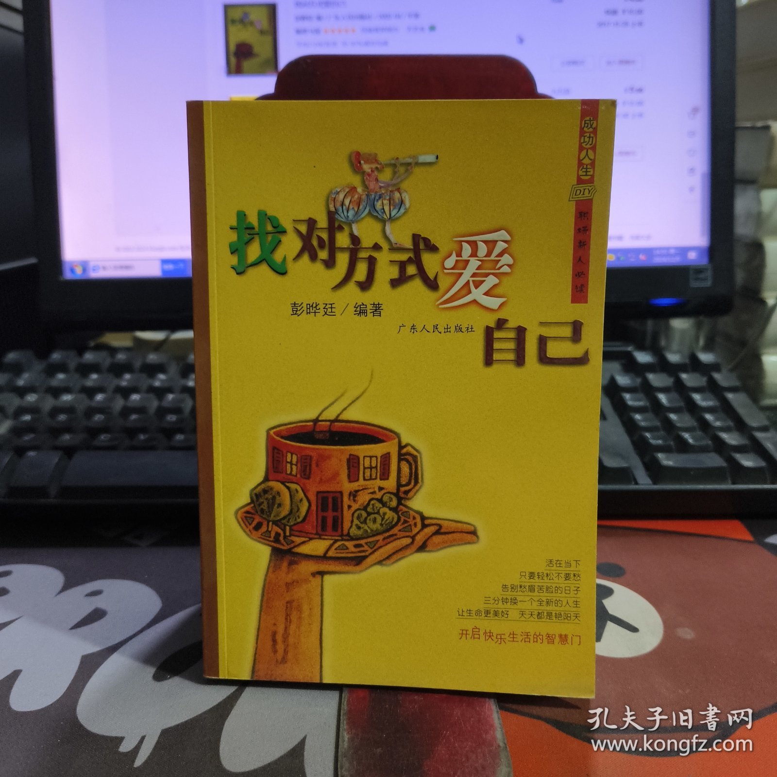 找对方式爱自己.成功人生DIY（一版一印）