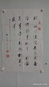 名家刘恪山书法（飒飒秋风）。2024