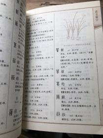 说文解字两厚册 带插图版本 上下两册合售不拆卖