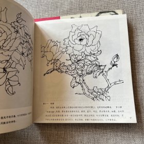 中国画技法入门：怎样画荷花+怎样画孔雀+怎样画菊花+怎样画月季花+怎样画牡丹