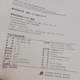 牙齿大街的新鲜事