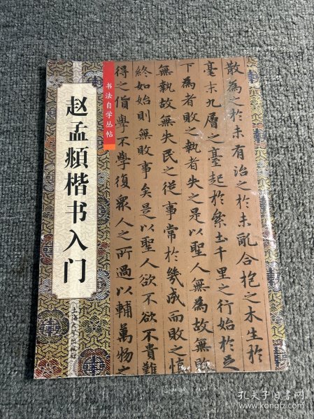 赵孟頫楷书入门