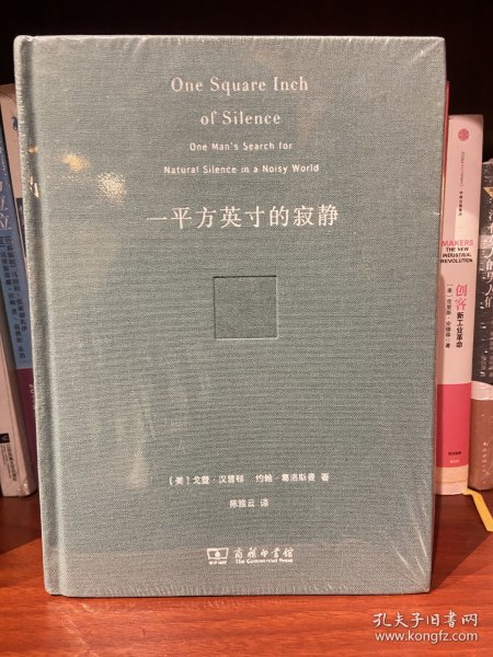 一平方英寸的寂静（珍藏本）