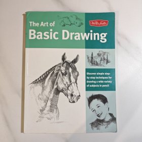 Art of Basic Drawing