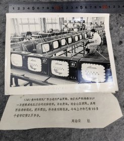 【贵州电视机厂】八九十年代新华社新闻展览照片散页，周浩荣 摄