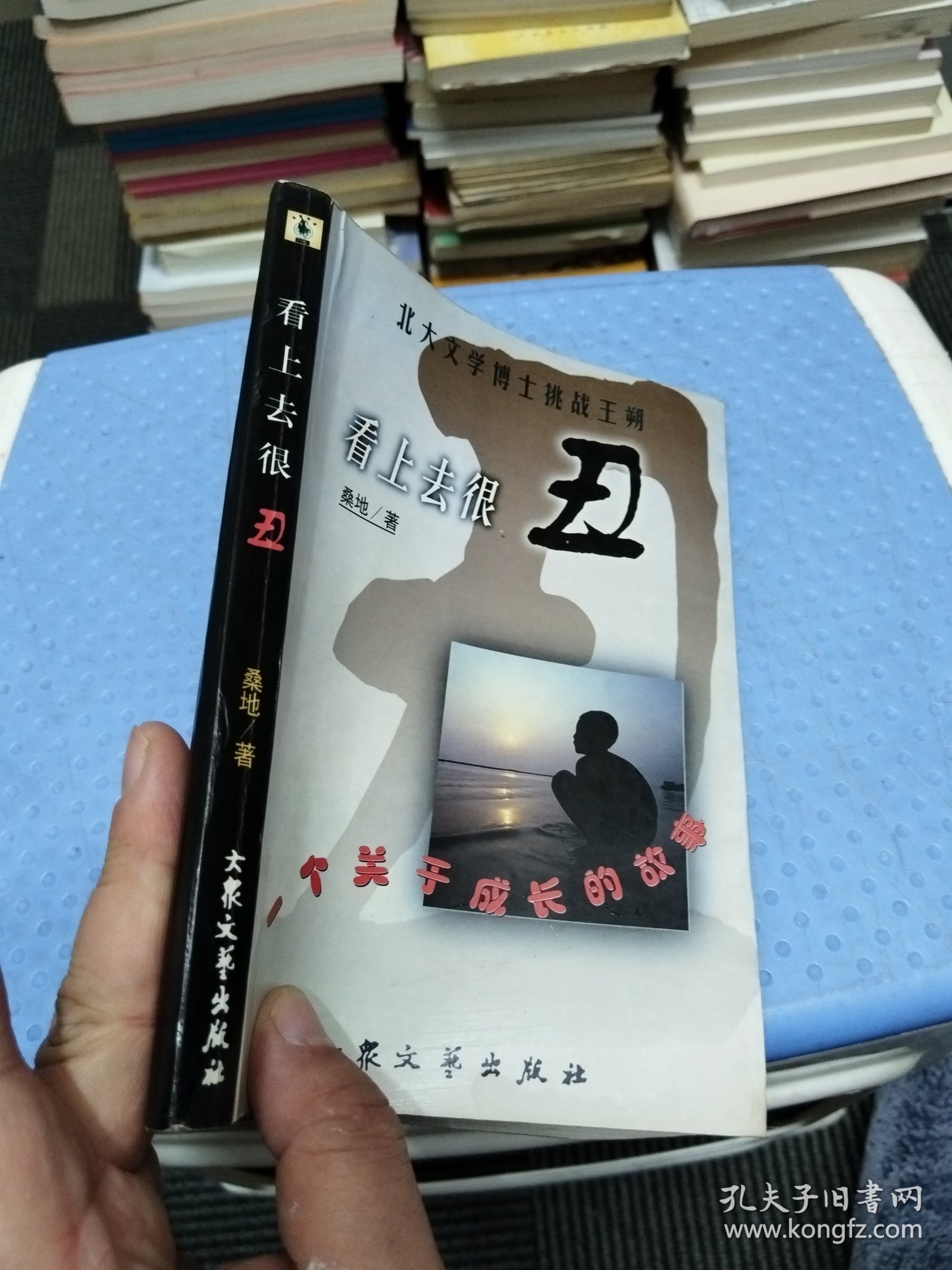 看上去很丑