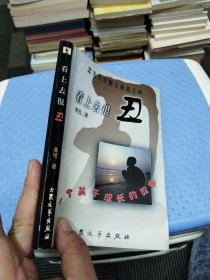 看上去很丑