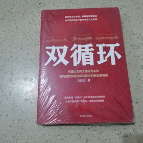 双循环：构建以国内大循环为主体、国内国际双循环相互促进的新发展格局（未开封）